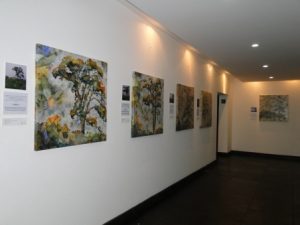 DSC03715